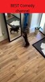 The dog was afraid to see himself in front of the mirror🐕🐕😂😂😂🤣🤣😂😂😂🤣🤣😂🤣😂🤣Funny video #shorts