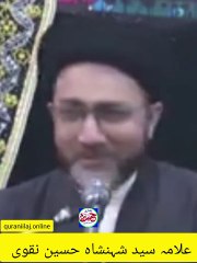 صرف شیعہ مولا علی ع کو چاہتے ہیں بلکہ آور بھی مذہب کے مولا کے پیروکار ہیں