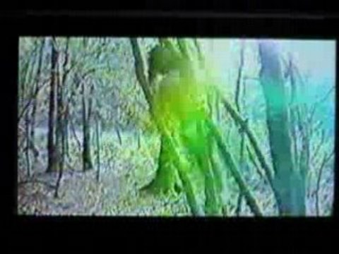 VIDEO 1993