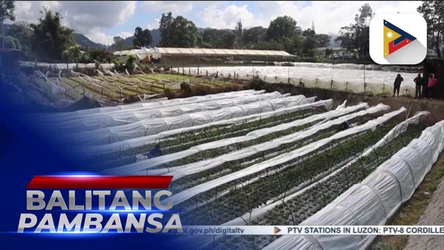 Flood mitigation structure ng DPWH, malaking tulong para protektahan ang mga pananim at matugunan ang baha sa Balili River