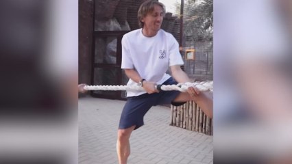 Modric se reta con un tigre a ver quién tiene más fuerza: la escena es tremenda