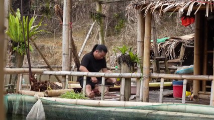 EP.426 - Cuidados com animais, Preparação de ervas, Cozinha rústica