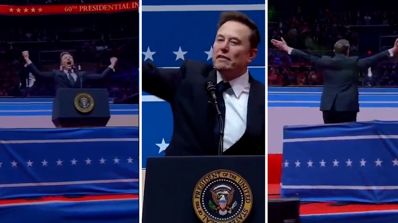 "Si vous voyez un salut nazi, vous êtes de gauche" : le geste d'Elon Musk décrypté