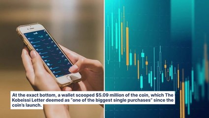 Whale Investor Snaps Up $5 Million In Official Trump Coin Minutes After President Says, 'I Don't Know Much About It,' Marking One Of The Largest Purchases Since Launch