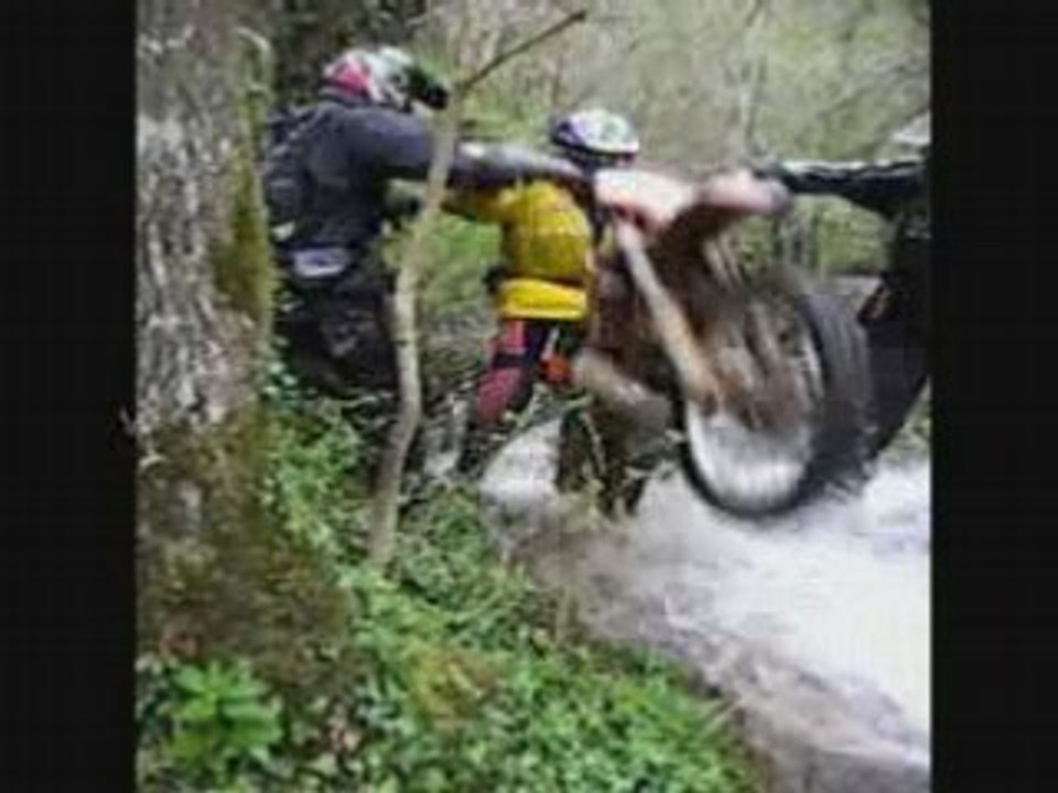 Evasion_r