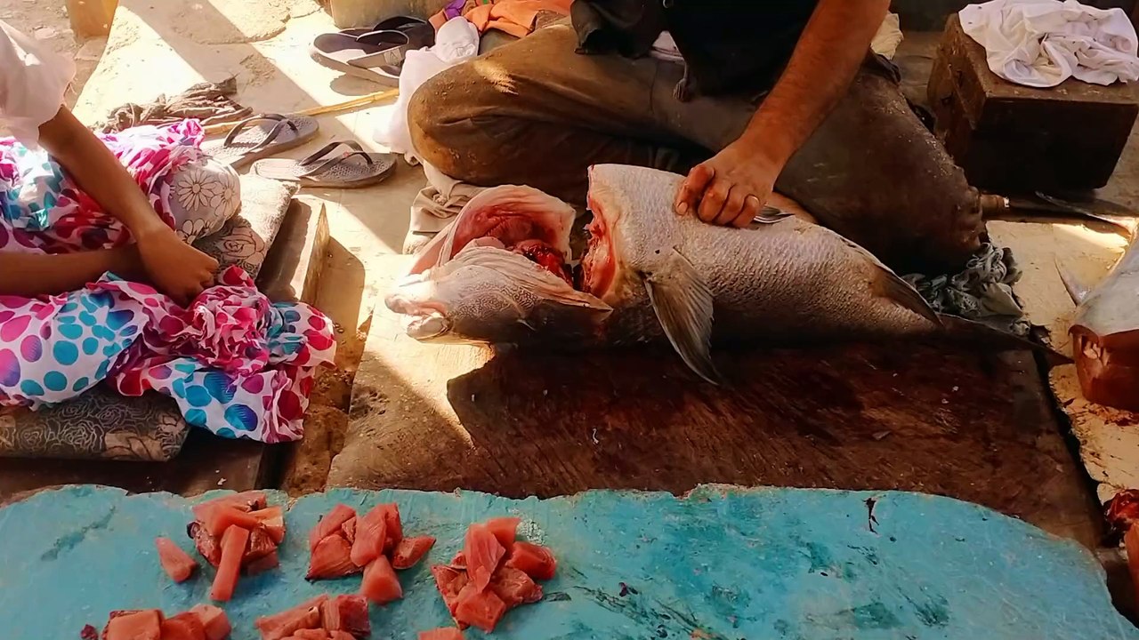 Shaari Fish Cutting & Cleaning  Lethrinus Nebulosus Fish Preparation Tips at Fish Market
