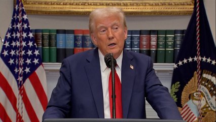Trump says he's open Elon Musk or Larry Ellison buying TikTok