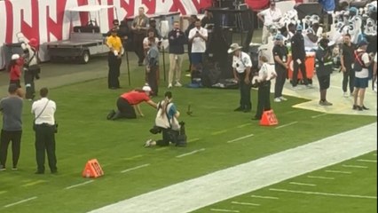 Tampa Bay Buccaneers vs. Carolina Panthers game pauses for a duck on the field