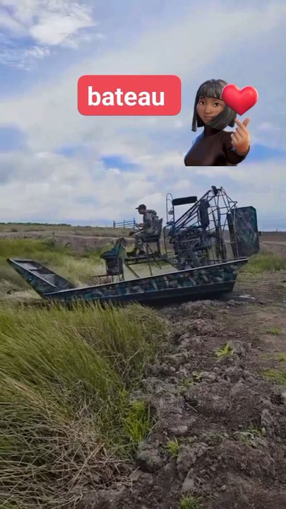 le bateau en alligator de Floride