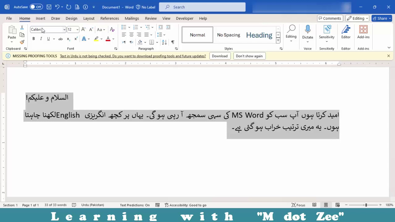 MS Word