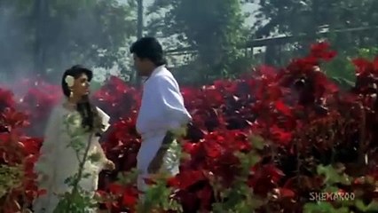 Mere Mehboob /Payal 1992/ Kumar Sanu