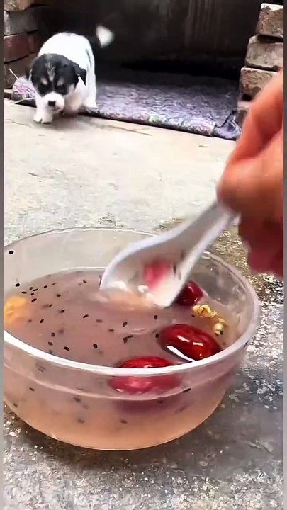 Mukbang tea for beauty😆