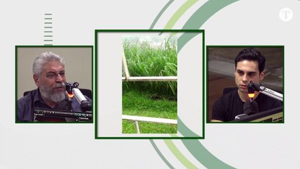 ACOMPANHE AO VIVO FM O TEMPO AO VIVO (4047)