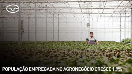 População empregada no agronegócio cresce 1,9%