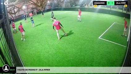 Faute de Pedro P - DLA PIPER