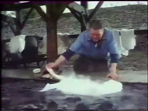 Publicité Vedette : Le rinçage de la mère Denis