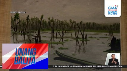 Buhay at pakikipagsapalaran ng mga Pinoy sa Belgium, tampok sa exhibit | Unang Balita