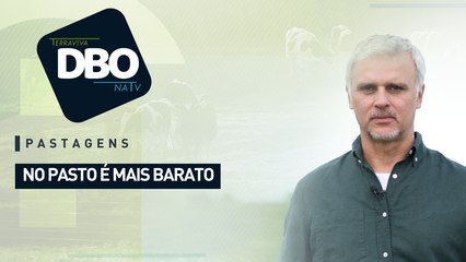 Pastagens: no pasto é mais barato
