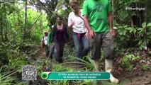 El Niño aumenta risco de incêndios na Amazônia, revela estudo