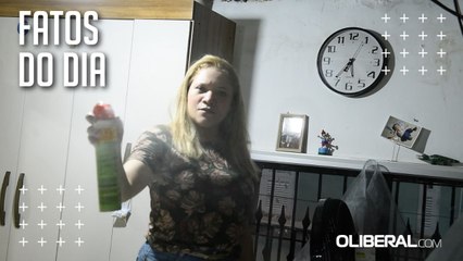 Insetos se proliferam em período chuvoso em Belém