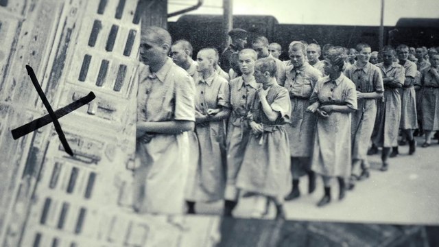 Teaser exposition «Comment les nazis ont photographié leurs crimes, Auschwitz 1944»