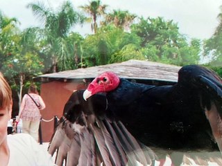 DESAFIO 4. Álvaro Galván