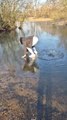 Man Attempts to Glide Across Icy Lake But Keeps Falling into Water