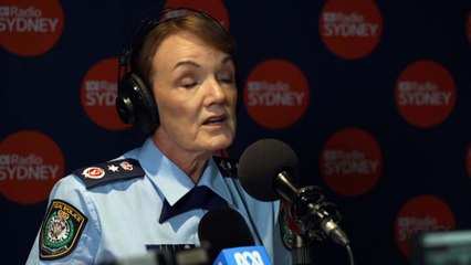 NSW Police Commissioner reject claims Jewish community has been failed