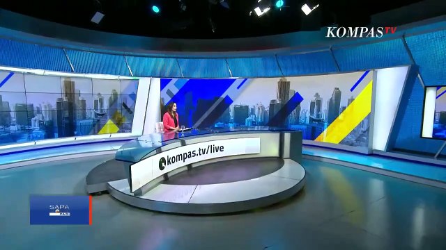 Lumba-Lumba Mati Tersangkut Pagar Laut di Bekasi, Diduga Terjebak Jaring | PAGAR LAUT