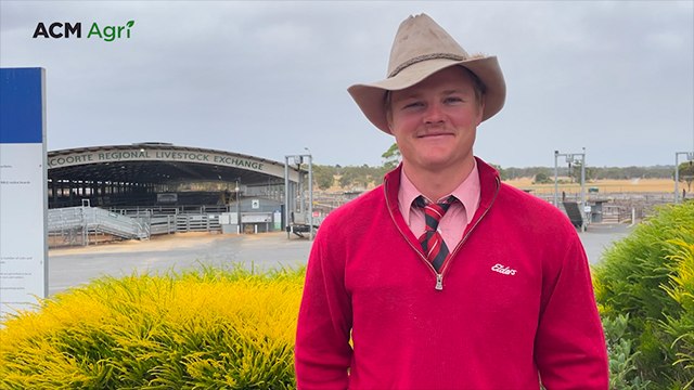 Naracoorte PPHS & Elders weaner steer sale