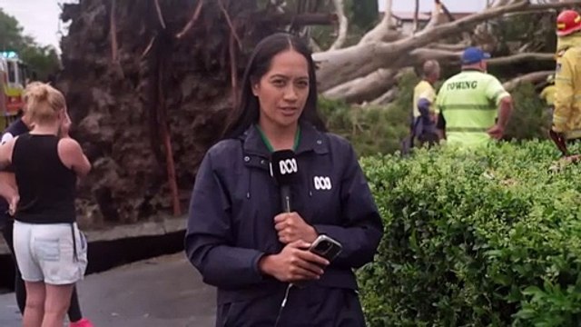 Severe thunderstorms forecast in the south-east heatwave persists