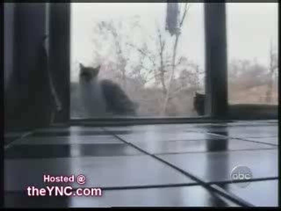 chats fun