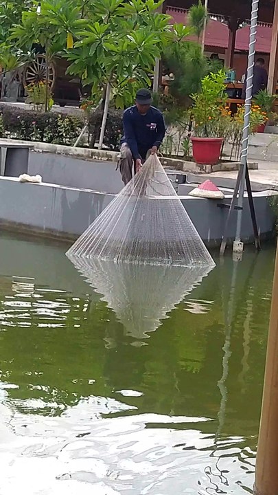 Menjaring ikan
