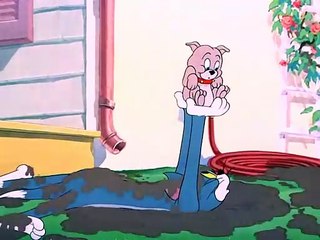 Tom And Jerry - 60 - Slicked-Up Pup (1951)