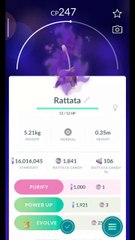 Pokémon GO-Purifying Shadow Rattata