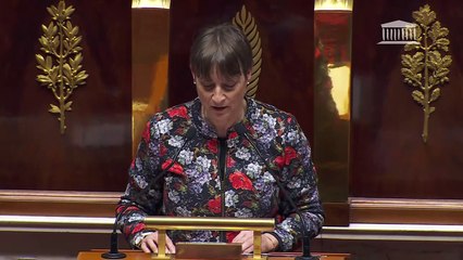 2ème séance : Diverses dispositions d'adaptation au droit de l'UE (suite) - Mercredi 22 janvier 2025