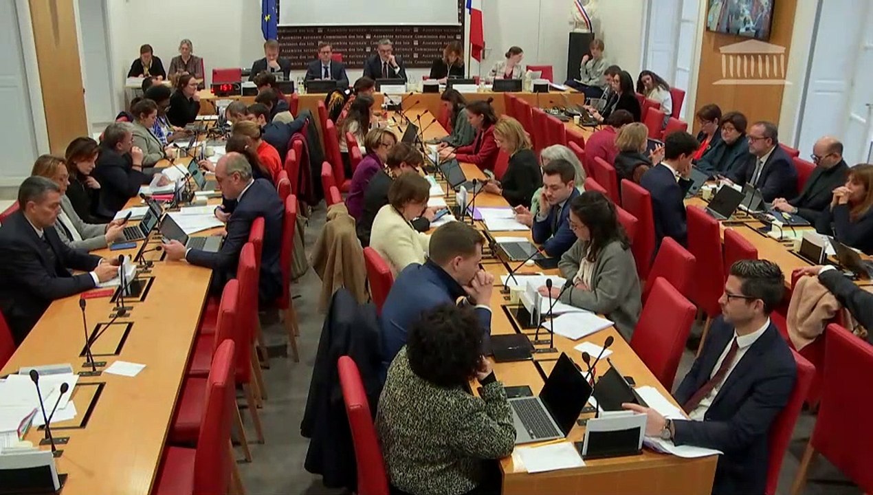 Commission des lois : Assainissement cadastral et résorption du désordre de la propriété ; Renforcer la lutte contre les violences faites aux femmes et aux enfants - Mercredi 22 janvier 2025