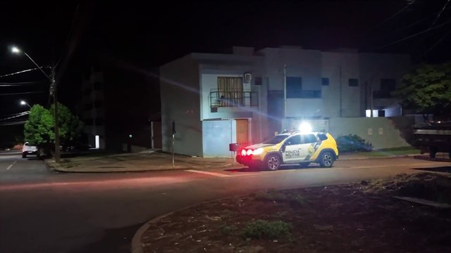 Cuidadora denuncia vizinho por maus-tratos contra gatos e PM é mobilizada em Cascavel