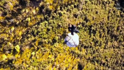 Must-See Hollywood Blockbuster Featuring Tom Cruise 🎬