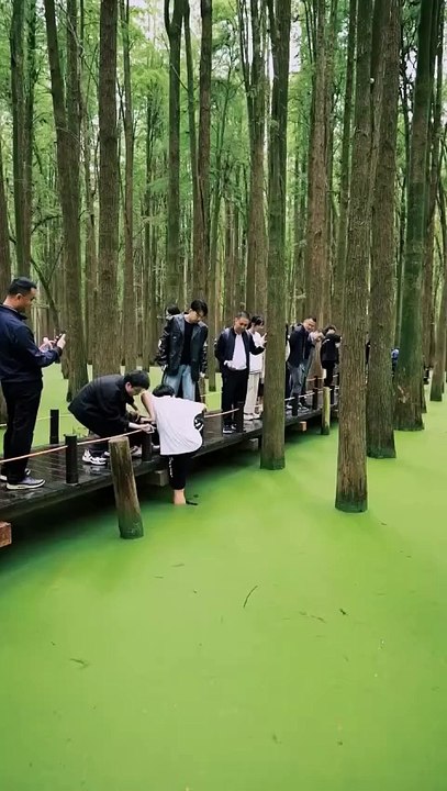 I was at Qingshan Lake in Hangzhou, and there were a lot of people around. My phone accidentally slipped into the water, so I ... idea to use my toes to grab it. When I brought it up, the phone was still working fine. There were a lot of people around