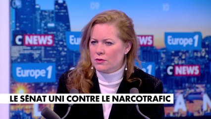 Béatrice Brugère : «Il y a un décalage entre la réalité criminelle et notre capacité de riposte»