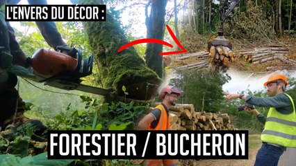 Une journée avec un bûcheron - découverte métier