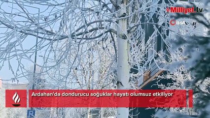 İlçede rekor soğuk: Dışarı çıkanın soğuktan kaşları ve kirpikleri dondu, araçlar çalışmadı