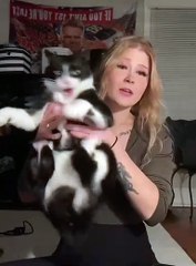 Funny cats and dogs , don't touch me !