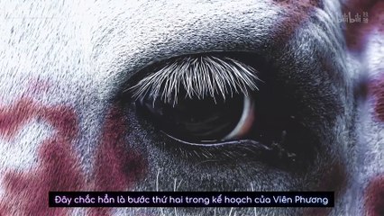 Hỏa Phụng Liêu Nguyên Tập 19 Vietsub - HoatHinh3DHay