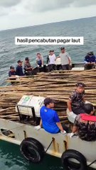 Inilah hasil Pencabutan Pagar Laut Ilegal Di Tangerang bersama TNI AL, Jumlah Bambunya Sangat Banyak Sekali Dan Panjang