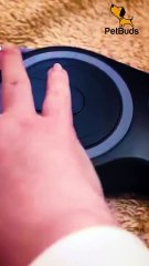 Automatic Retractable Dog Leash  Smart Design, Chew-Resistant, Heavy Duty Retractable Dog Leash UK