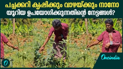 'വെണ്ടയ്ക്ക നല്ല വലുപ്പം വെച്ചു'; പച്ചക്കറി കൃഷിക്ക്  നാനോ യൂറിയ ഉപയോഗിക്കുന്നതിന്റെ നേട്ടങ്ങൾ?