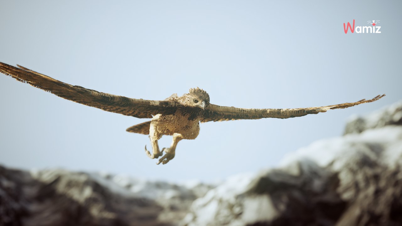Dans les Alpes suisses et sous les yeux de ses maîtres, un chien se fait emporter dans les airs par un aigle