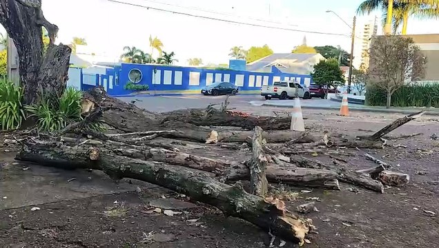 Atenção: galhos bloqueiam parte da rua Goiás, no bairro Country